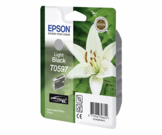 Epson ink cartridge light black   T 059             T 0597