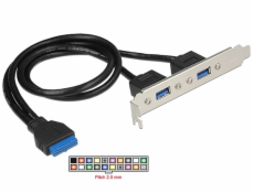 Delock Záslepka 1 x 19 pin USB 3.0 pin konektor samice interní > 2 x USB 3.0 Typ-A samice externí