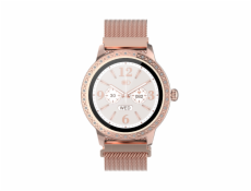 Denver SW-360RO rose