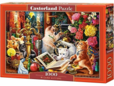 Puzzle 1000 elementów Koty magiczne kotky