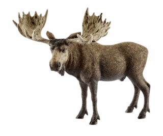 Schleich Wild Life         14781 Elch Bulle