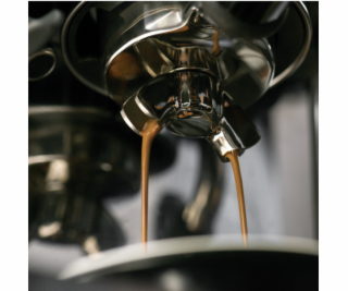 Sage Espresso Maschine Barista Express nehrdzava. ovcel
