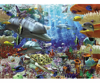 Puzzle 3000 dielikov Podmorský život