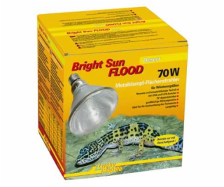 Lucky Reptile Bright Sun FLOOD Desert 70W