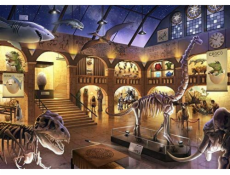 Ravensburger Puzzle v Natural History Museum (12925)