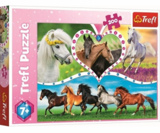 Puzzle 200 dielikov - Nádherné kone