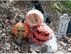 Halloween dýňová lebka, 26 cm