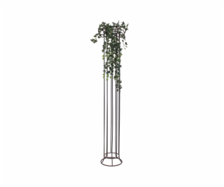 Divoký břečťan trs velký, 100 cm