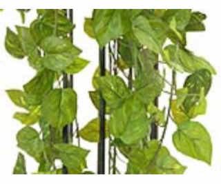 Girlanda Photosu Premium, 170 cm