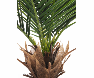 Phoenix palma deluxe, 220 cm