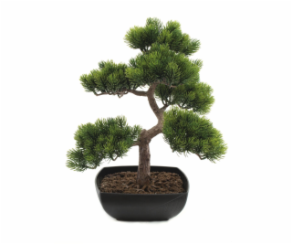 Bonsai borovice, 50 cm