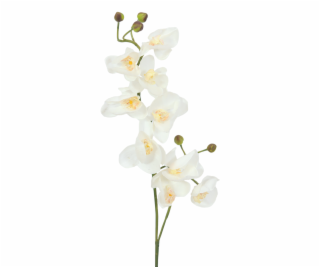 Orchidej větvička, krémově-bílá, 100 cm