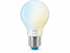 WiZ Frosted Glass 8719514552081 E27