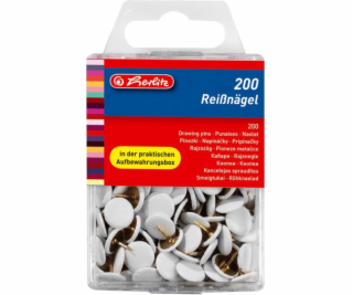 Reißnägel
