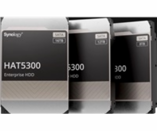 Synology HDD HAS5300-8T (8TB, SAS 12Gb/s, 256MiB)