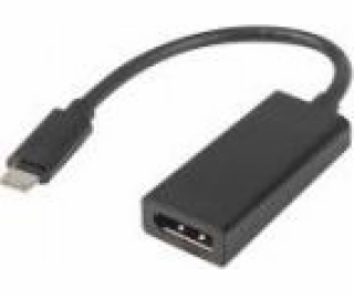 Lanberg AD-UC-DP-01 video cable adapter 0.15 m USB C Disp...