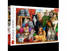 Puzzle 1000 dílků - Kočičí setkání
