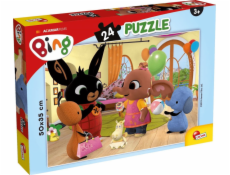 Puzzle Plus 24 Bing 1