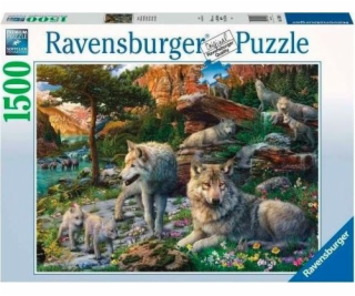 2D puzzle 1500 dílků Jarní vlci
