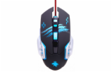 Forme WT-193 Gaming