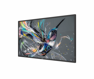 Monitor Philips Q-line 50BDL3511Q/00
