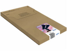 EPSON multipack 4 barvy,502XL,Ink,XL, EasyMail