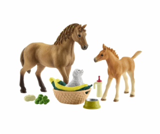 Schleich Horse Club 42432 Sarahs Tierbaby-Pflege