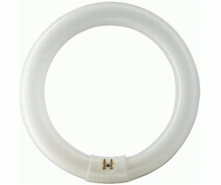 Świetlówka Philips Master TL-E Circular Super 80 kołowa G...