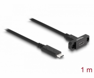 Delock Kabel SuperSpeed USB 10 Gbps (USB 3.2 Gen 2) ze zá...