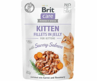Brit CARE KOT sazzetka FJ KITTEN SAVORY SALMON /24 85g