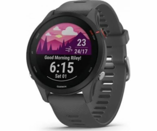 Garmin Forerunner 255 schiefergrau/schwarz