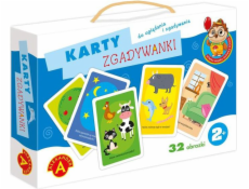 Alexander Guessing Cards – Owl Wise Head 1823 – 5906018018233