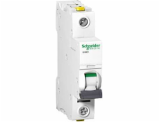 Schneider Electric, přepínač s nadproudem 1P C 16A 10KA AC IC60H-C16 (A9F07116)