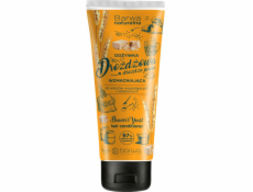 Přirozená barva kvasinkových živin pro oslabené a vypadnutí 200 ml vlasů