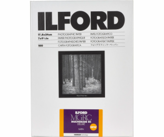 1x100 Ilford MG RC DL 25M  18x24