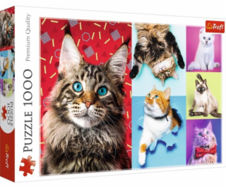 Puzzle 1000 dielikov Veselé mačky