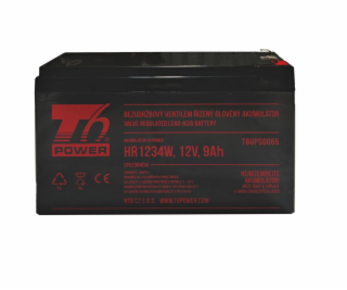 T6 Power RBC17 - battery KIT
