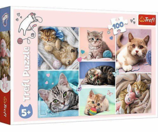 Trefl Puzzle 100 dílků V kočičím světě