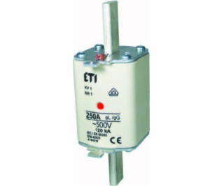 Pojistková vložka NH1 gG 100A/500V 004184222