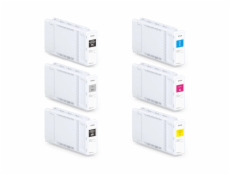 Epson Multipack P-Series UltraChrome Pro 6 T48U