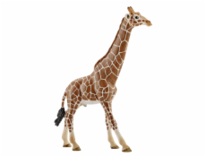 Schleich Wild Life zirafa - samec