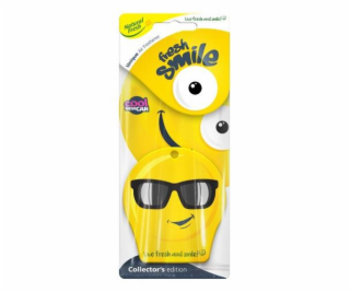 Osvěžovač vzduchu do auta Natural Fresh Cool New Car