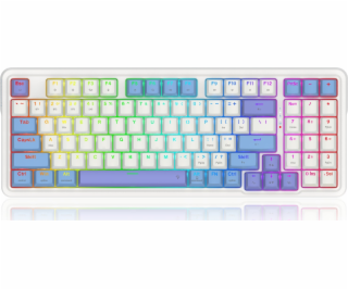Klávesnica Redragon Gloria Pro Bumblebee (K664WBP-RGB-PRO)