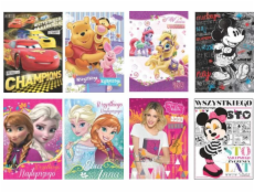 Verte Karnet XL disney MIX