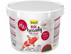Tetra KOI Beauty Small 10L
