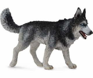 Figurka Collecta sibiřský husky pes (004-88707)
