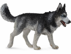 Figurka Collecta sibiřský husky pes (004-88707)