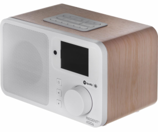 Rádio Ferguson Regent i100S