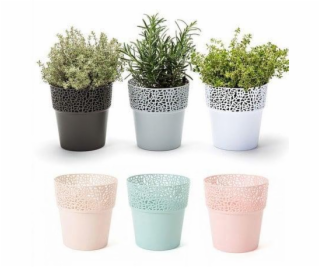 Hrniec Lamela Rosa 655-05, plast, H 12 cm, biely