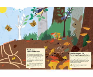 Chronicle Books Kniha aktivit se samolepkami my nature V ...